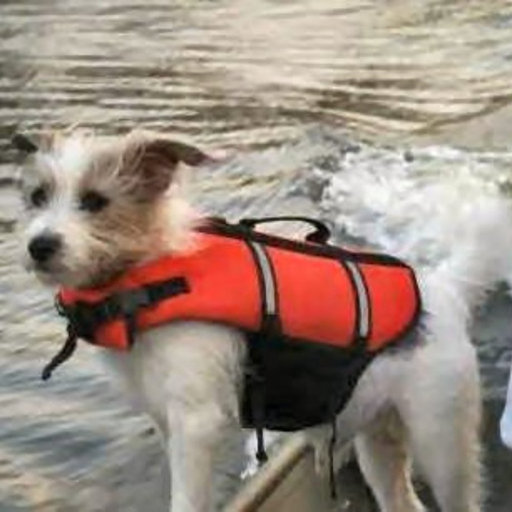 OUTWARD HOUND LIFE VEST - SIZE MEDIUM
